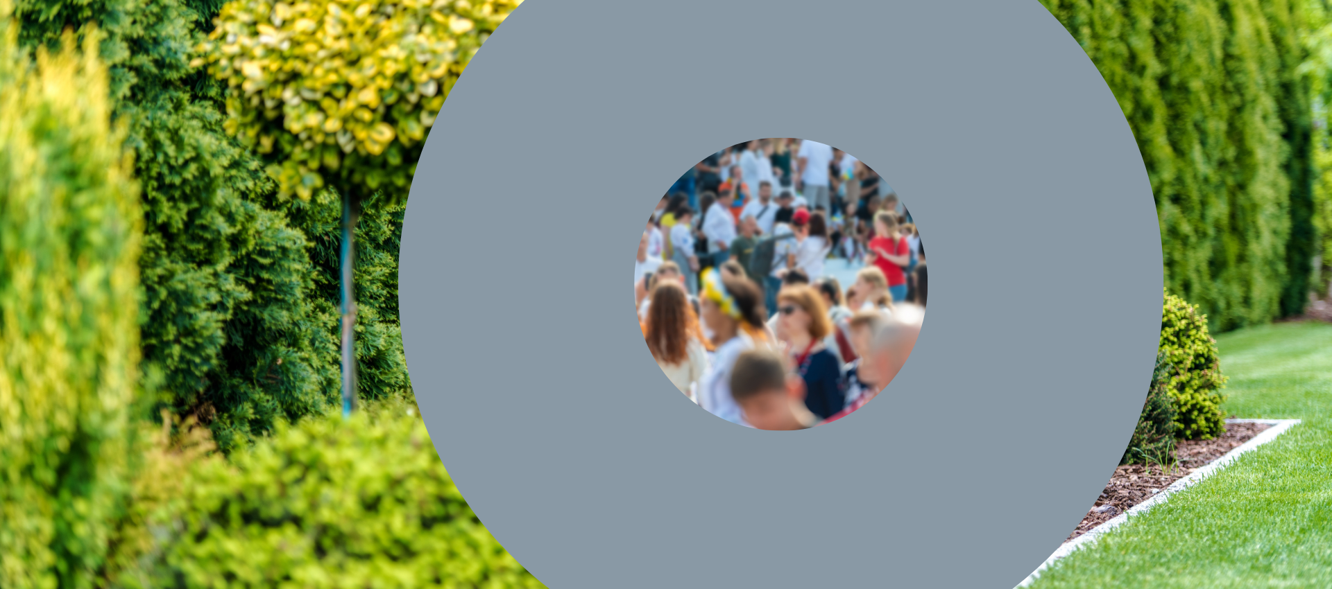 Running a Marketing or Advertising Campaign is Like Nurturing a Garden